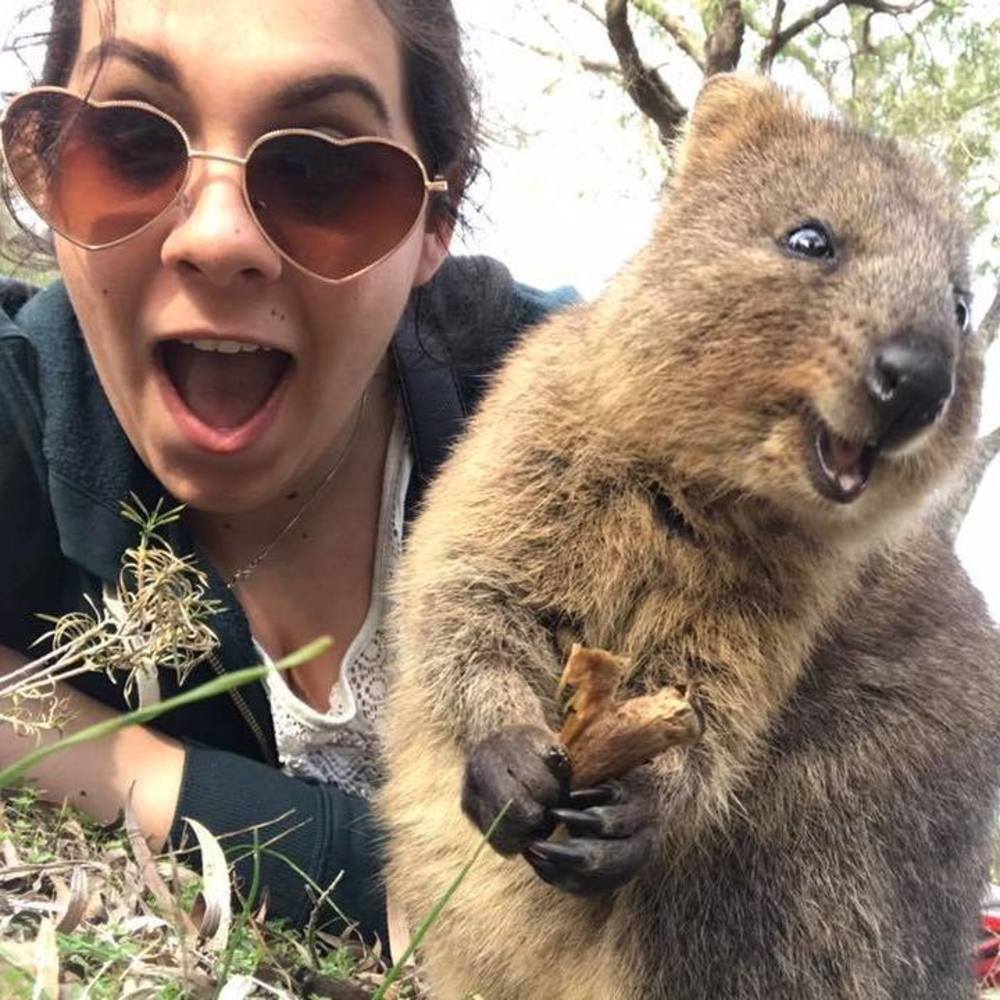 Meet your Posher, Katrina